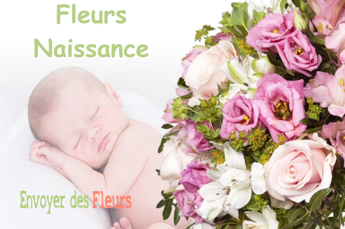 lIVRAISON FLEURS NAISSANCE à CASTELNAU-PICAMPEAU